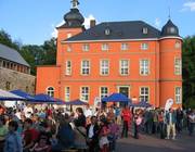 Burg Wissem